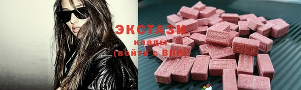 индика Елизово