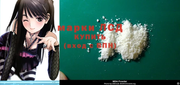 индика Елизово