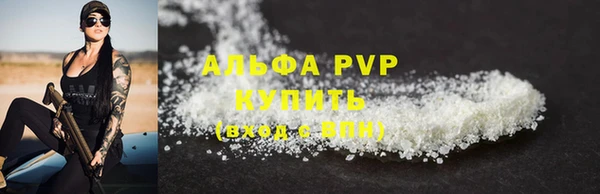 индика Елизово