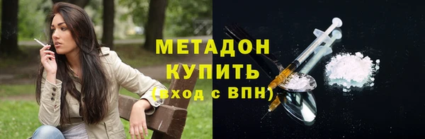 индика Елизово