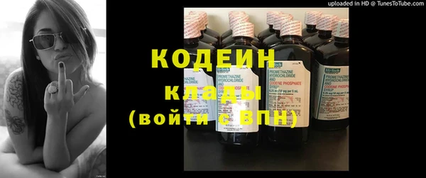индика Елизово