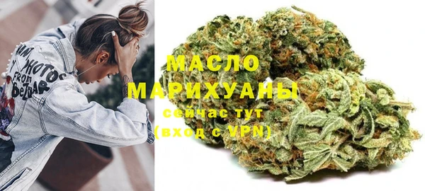 скорость Ельня