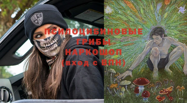 скорость Ельня