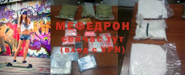 индика Елизово