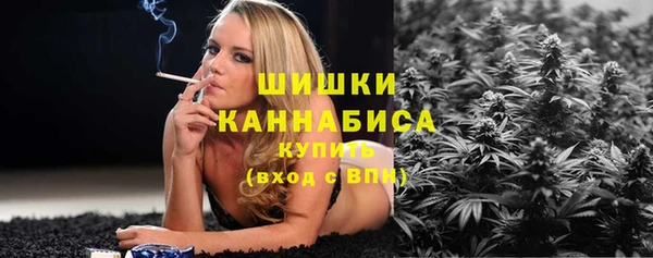 индика Елизово