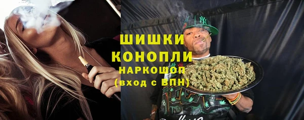 индика Елизово