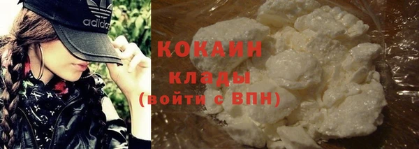 индика Елизово