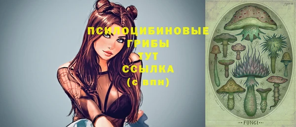 индика Елизово