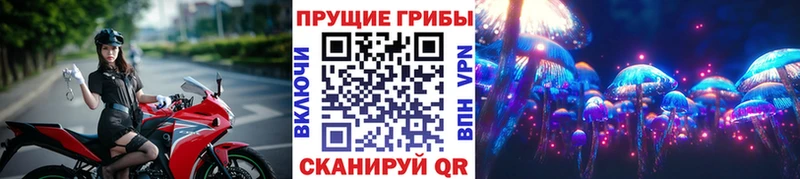 Псилоцибиновые грибы мицелий Купить где Электросталь